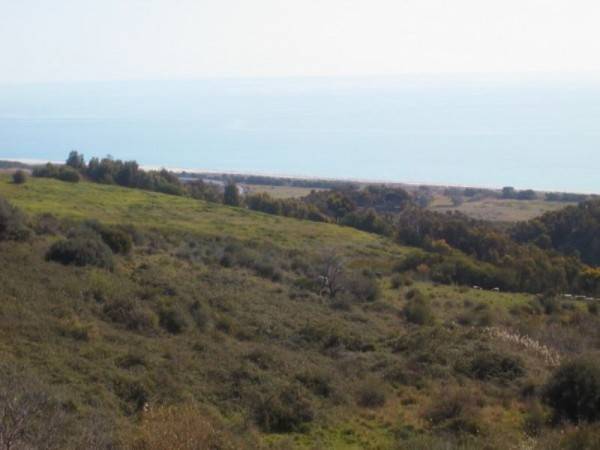 Terreno a Stignano in STIGNANO MARE - Foto 2