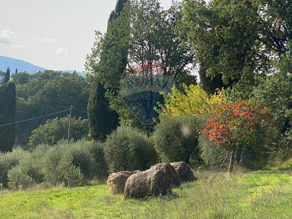 Terreno a Citerna in Strada Comunale della Stazione - Foto 4