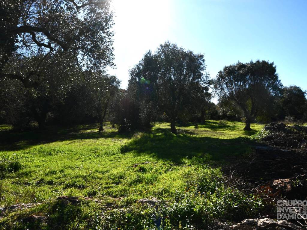 Rustico / casale a Ceglie messapica in Contrada Pisciacalze - Foto 5