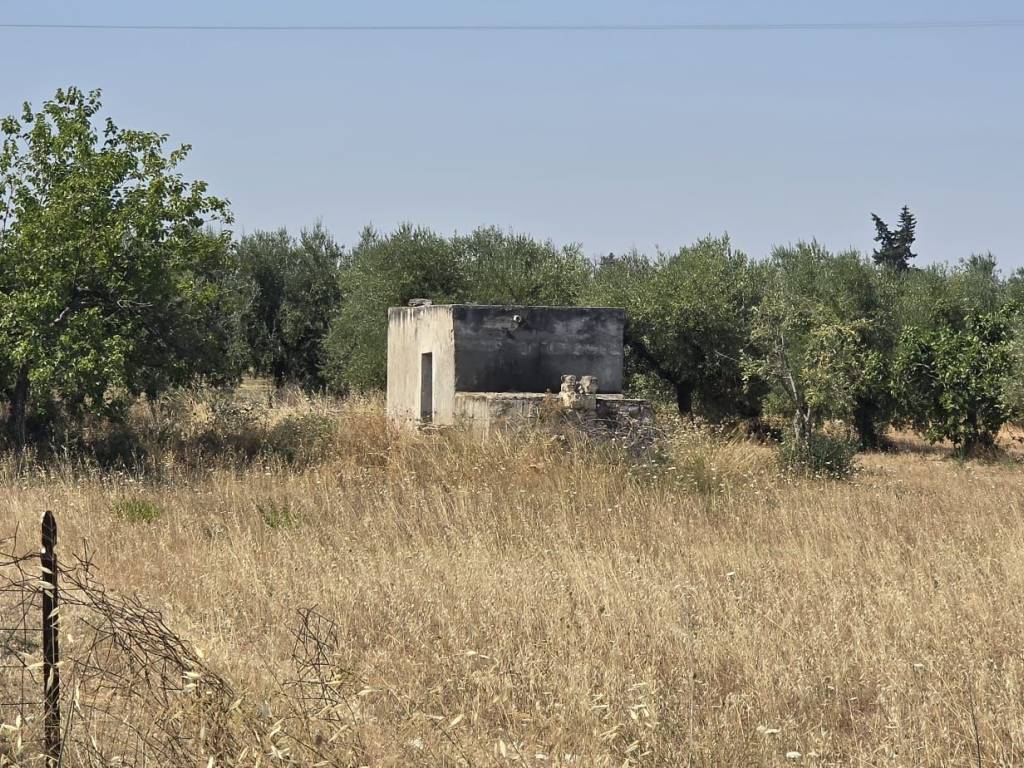 Terreno a Trani in Via Andria - Foto 3