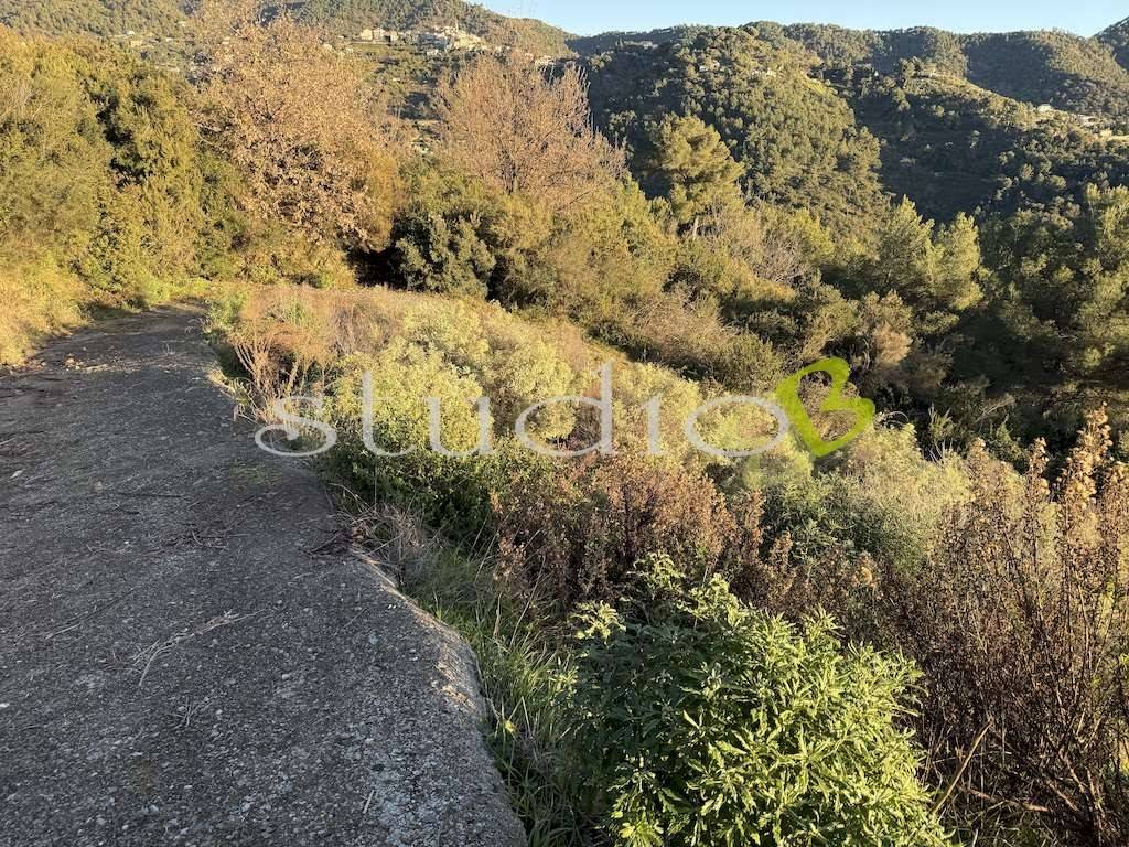 Terreno a Vallebona - Foto 4