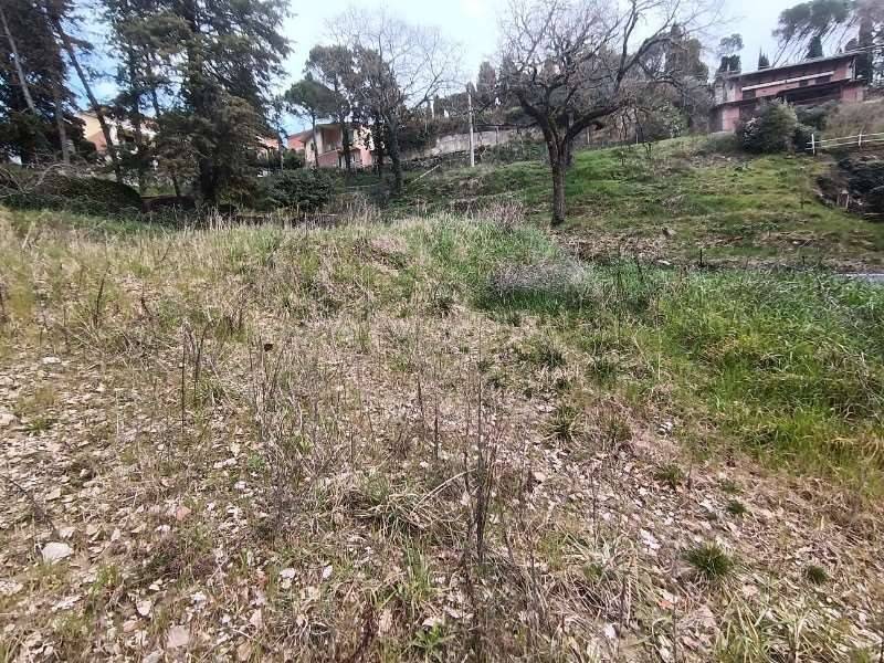 Terreno a Passignano sul trasimeno in Via Esposta - Foto 2