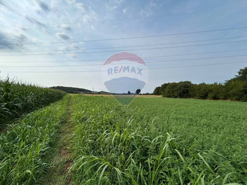 Terreno a Castiglione delle stiviere - Foto 2