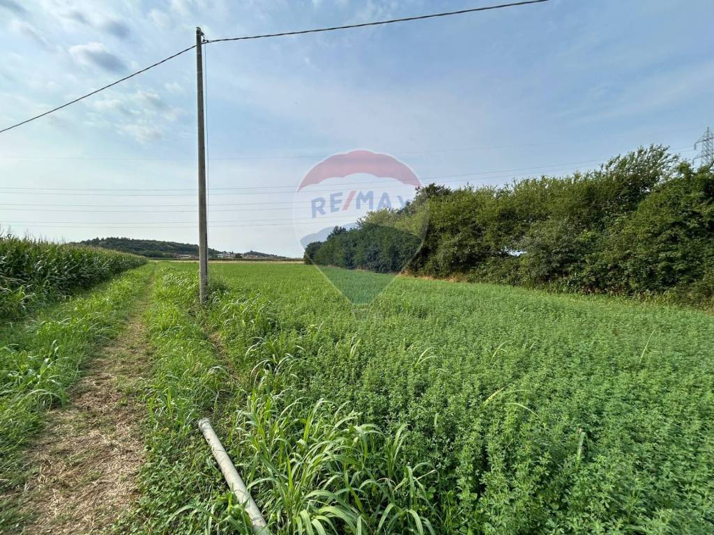 Terreno a Castiglione delle stiviere - Foto 5