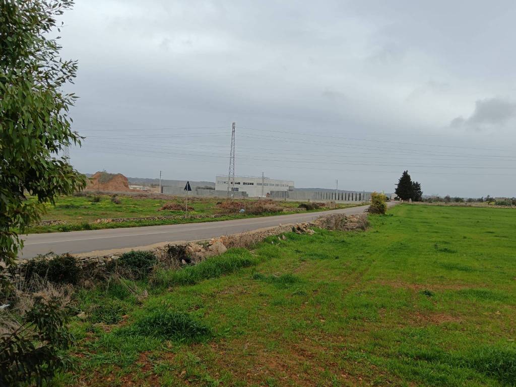 Terreno a Alessano in Via donniche - Foto 2