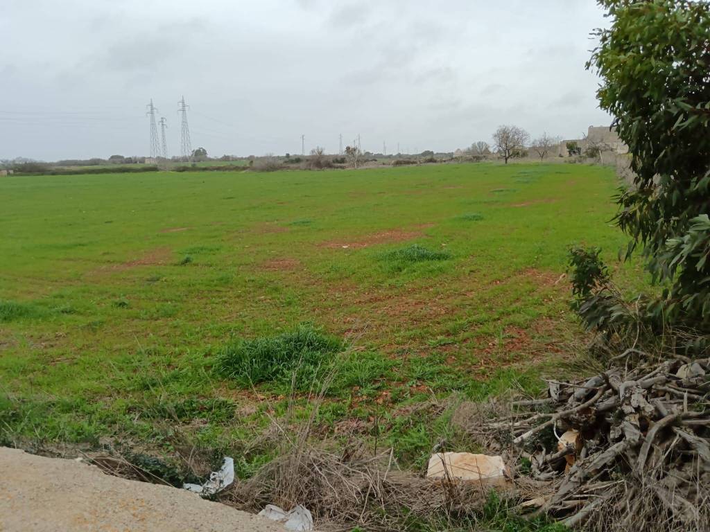 Terreno a Alessano in Via donniche - Foto 4