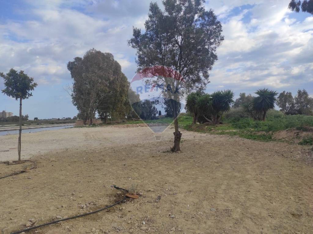 Terreno a Cagliari - Foto 3