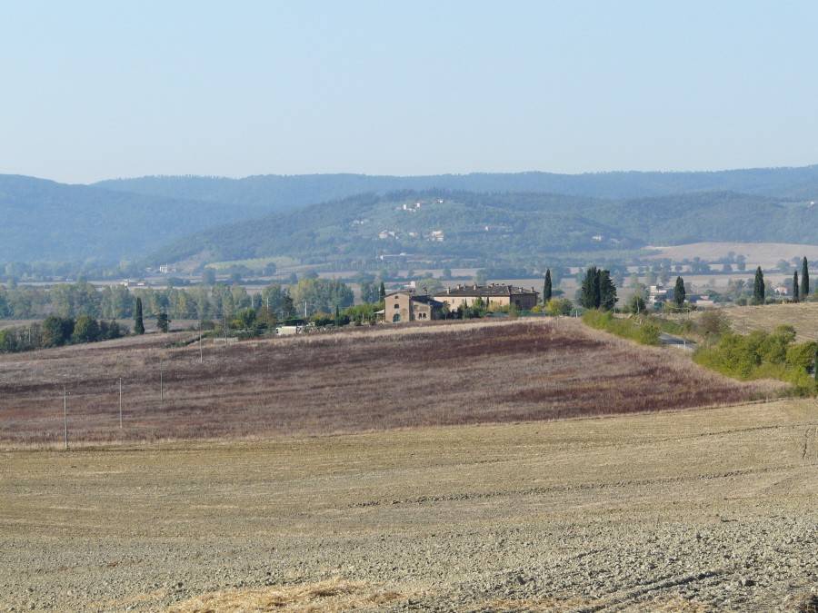 Rustico / casale a Sovicille in VIA DEL POGGETTO SAN ROCCO A PILLI - Foto 5