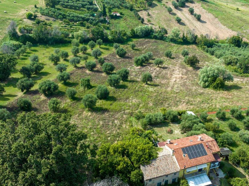 Rustico / casale a Monte san vito in VIA BOCCATINO , 16 - Foto 5