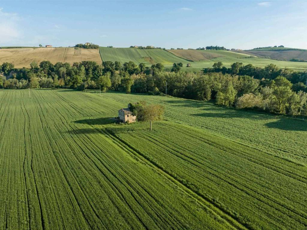Rustico / casale a Jesi - Foto 3