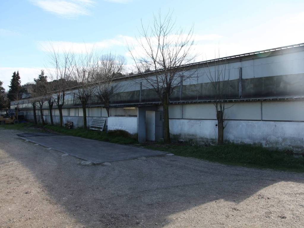 Immobile a Colli al metauro - Foto 2