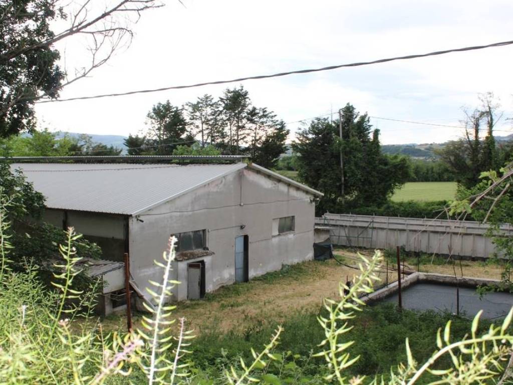 Immobile a Colli al metauro - Foto 3