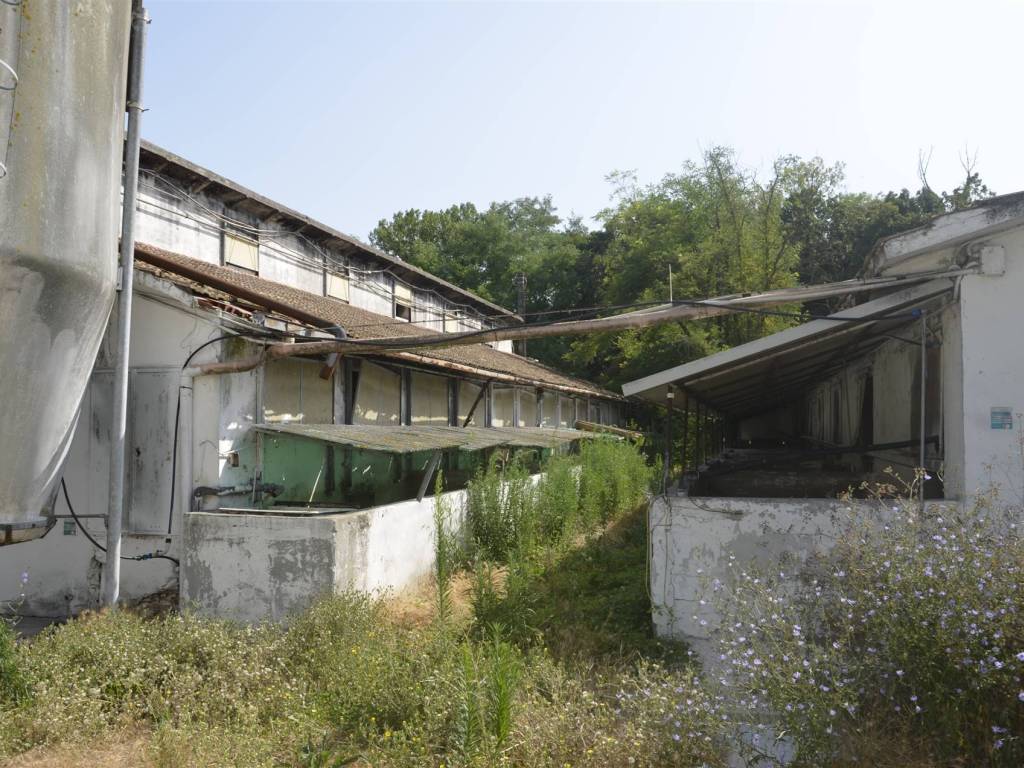 Immobile a Colli al metauro - Foto 4