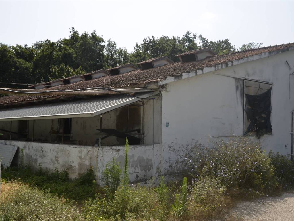 Immobile a Colli al metauro - Foto 5