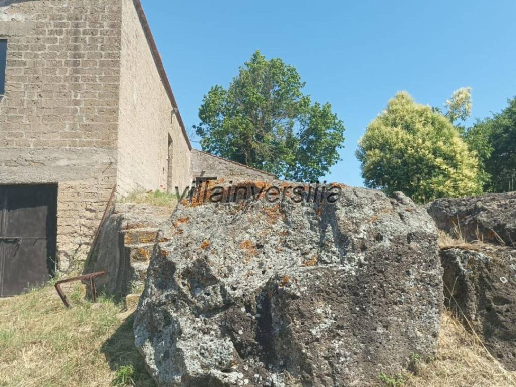 Rustico / casale a Pitigliano - Foto 2
