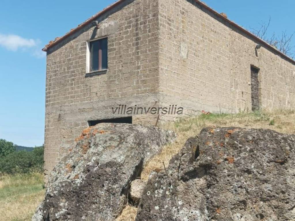 Rustico / casale a Pitigliano - Foto 4