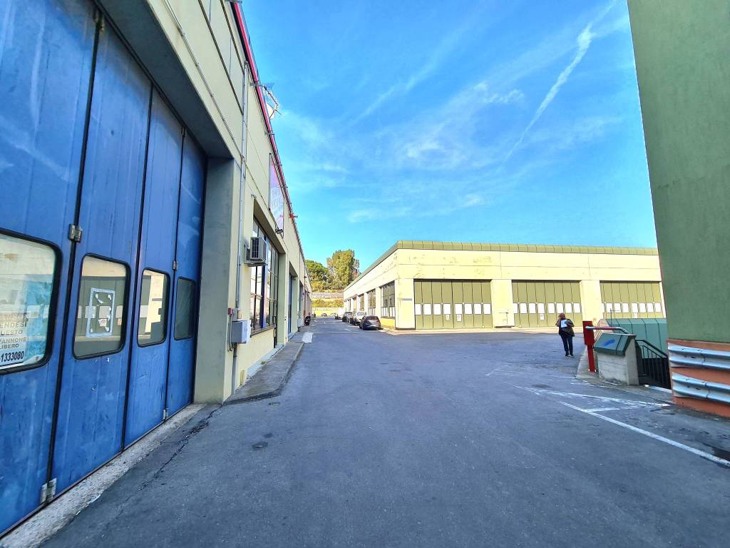 Immobile a Albenga in Località Torre Pernice - Foto 2