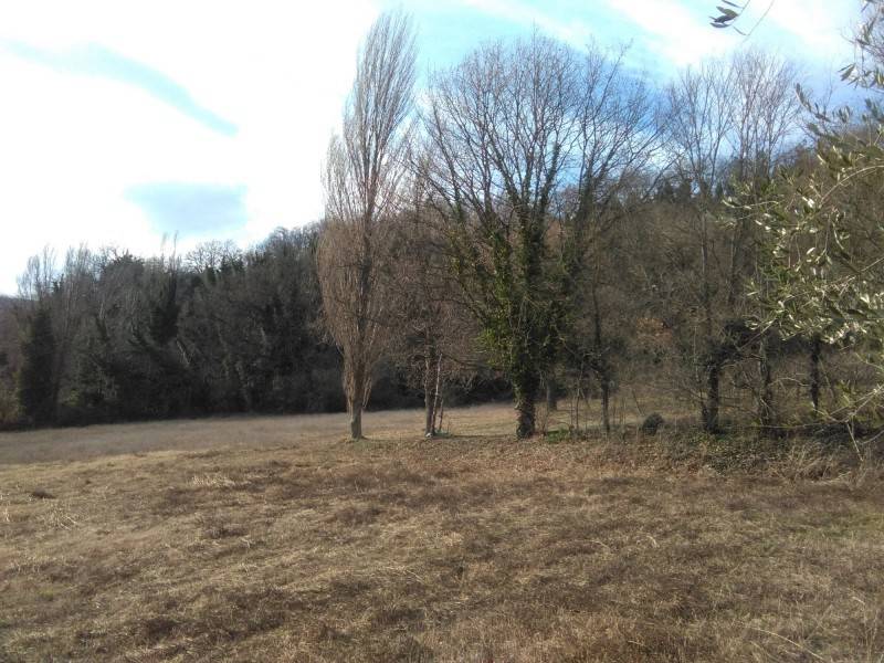 Rustico / casale a Maiolati spontini in andrea, 1 - Foto 2