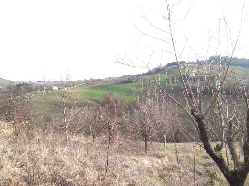 Rustico / casale a Maiolati spontini in andrea, 1 - Foto 3