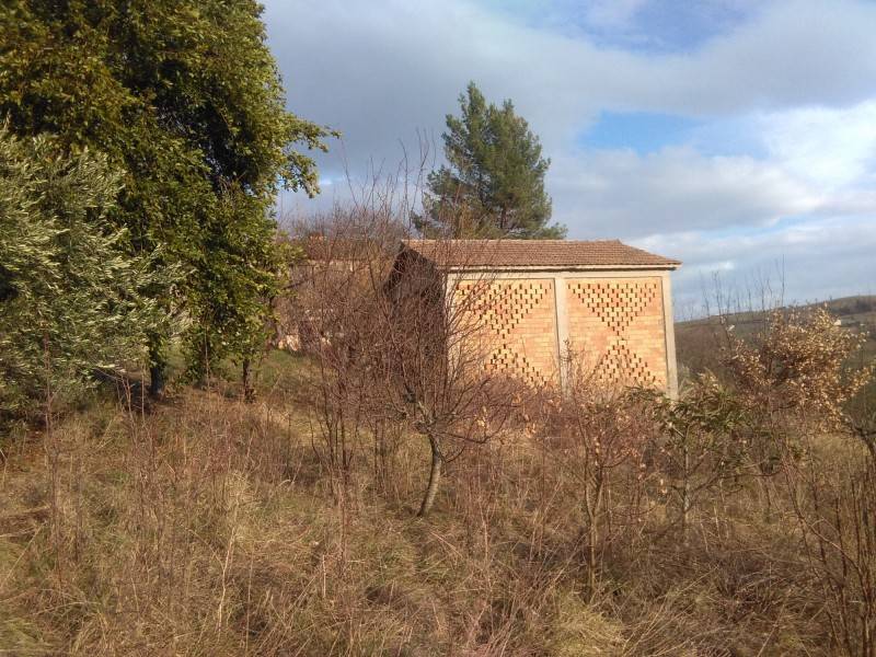 Rustico / casale a Maiolati spontini in andrea, 1 - Foto 4