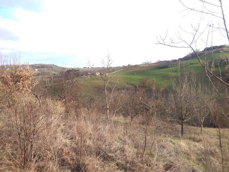 Rustico / casale a Maiolati spontini in andrea, 1 - Foto 5