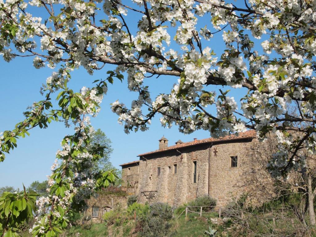 Rustico / casale a Cortona in Case Sparse Valecchie-Montanare, 93 - Foto 2