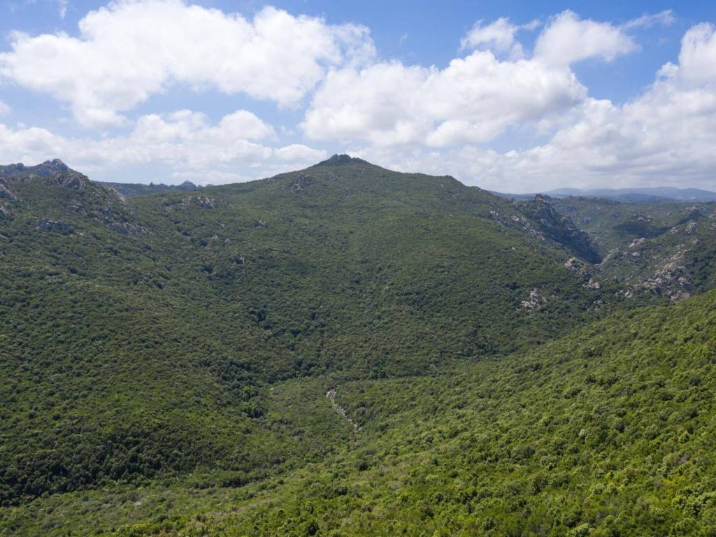 Terreno a Aglientu in SP5 - Foto 4