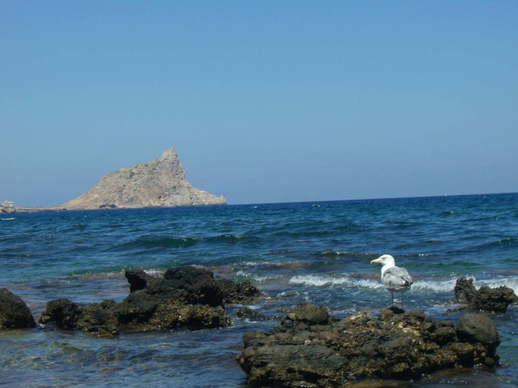 Terreno a Favignana in Marettimo S.N.C. - Foto 2