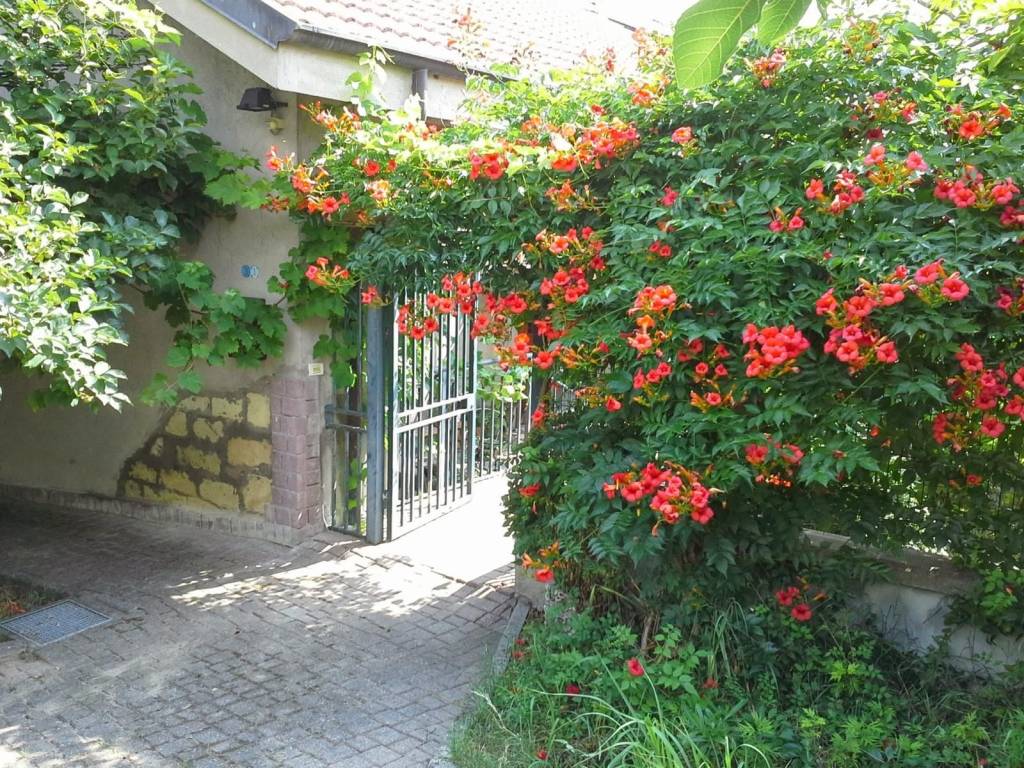Casa indipendente a Casale monferrato in Regione Mandoletta - Foto 2