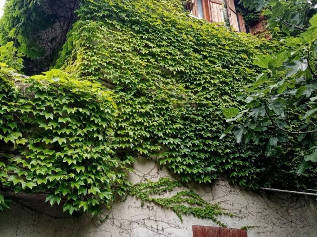 Casa indipendente a Casale monferrato in Regione Mandoletta - Foto 3