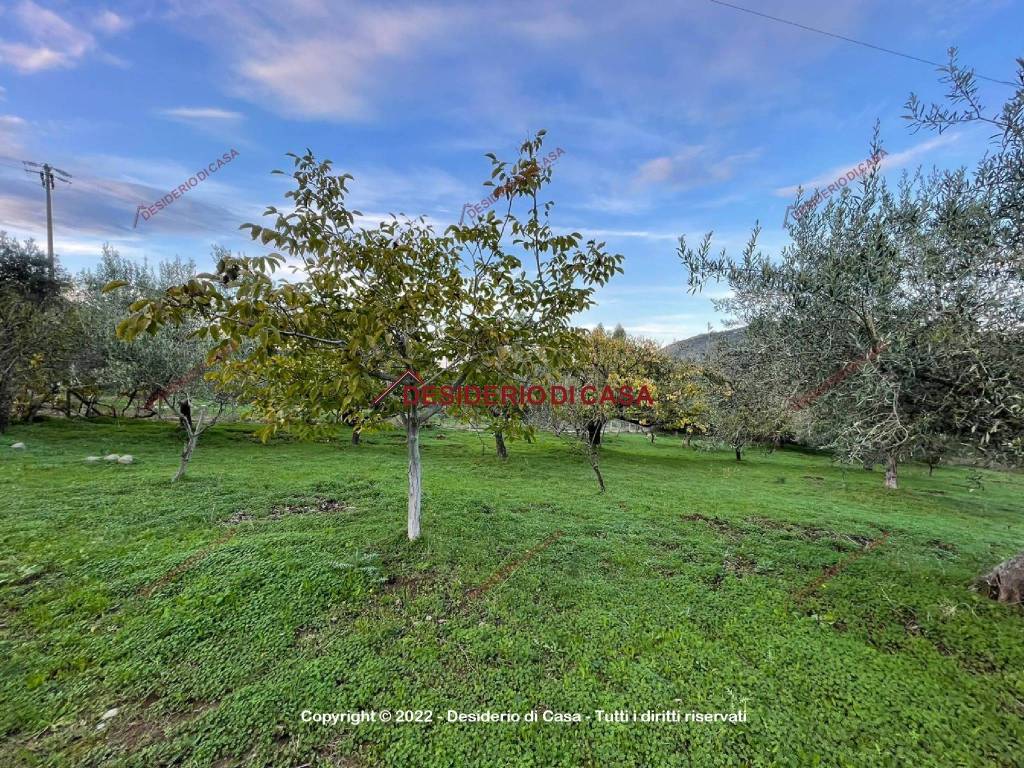 Terreno a Lascari in Contrada Armizzo - Foto 3