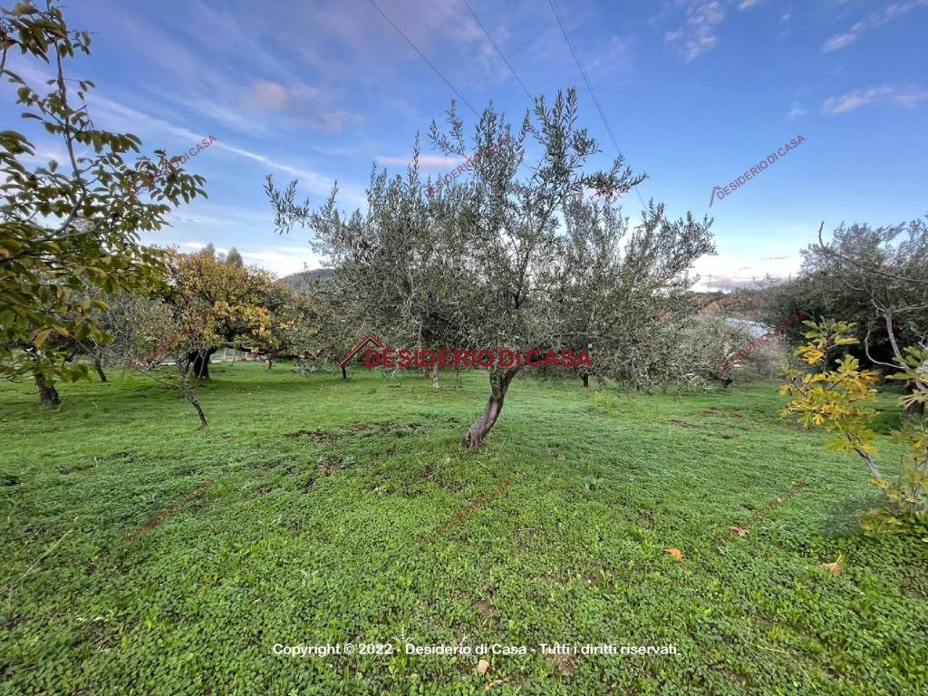Terreno a Lascari in Contrada Armizzo - Foto 4