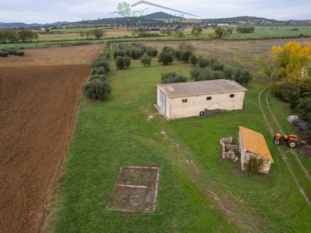 Rustico / casale a Montalto di castro in Località Gorello - Foto 5