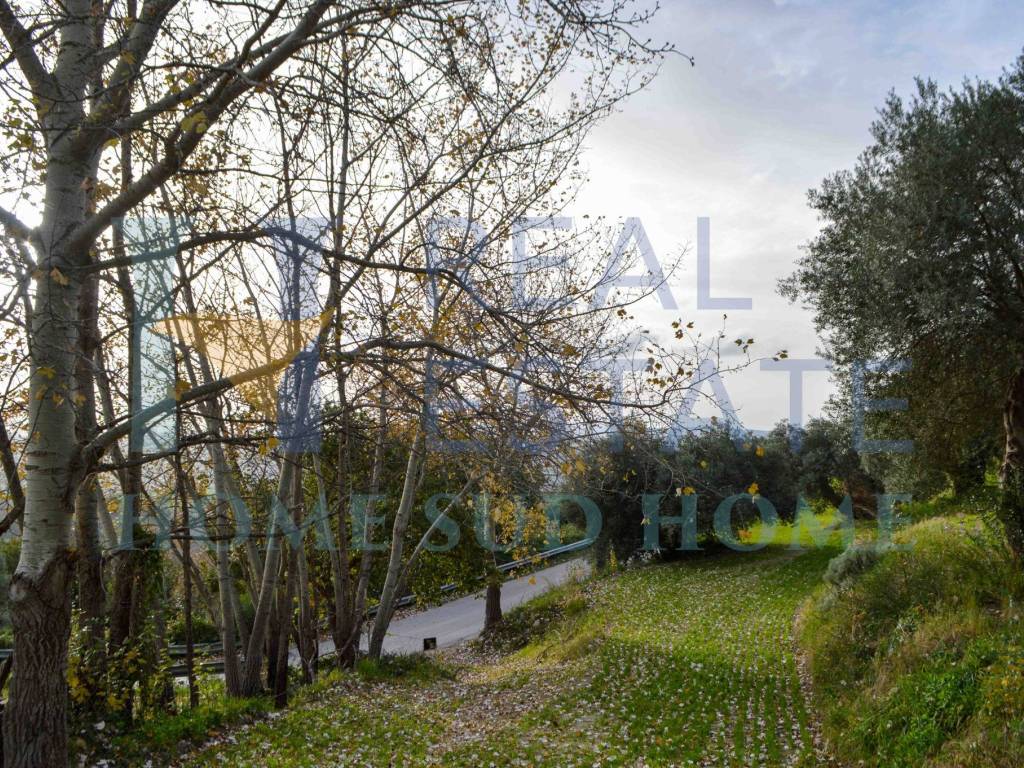 Terreno a Palazzolo acreide in Via Nicolò Zocco, 40 - Foto 5