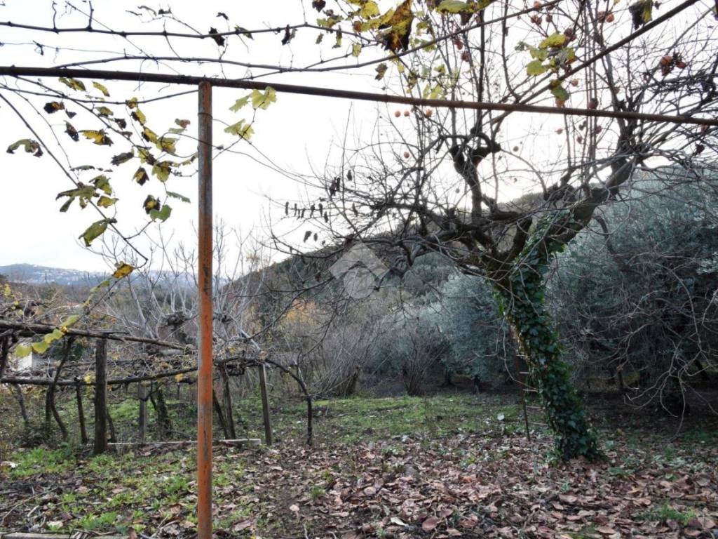 Rustico / casale a Sezze in Via Fontana del sordo, 16 - Foto 5