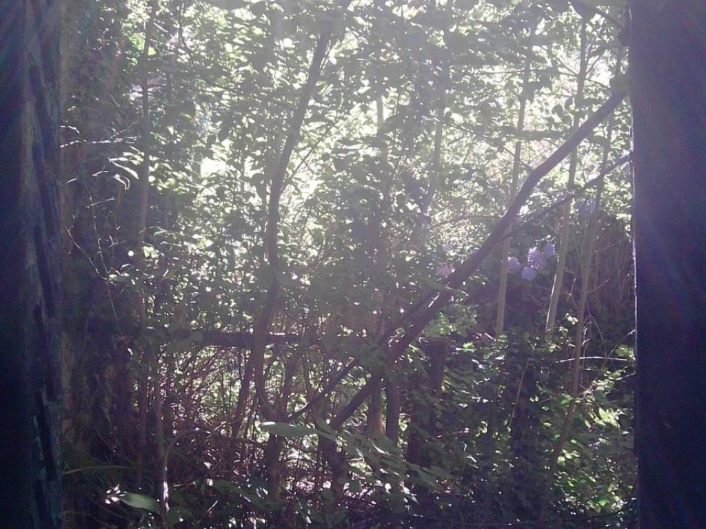 Rustico / casale a Galbiate - Foto 4