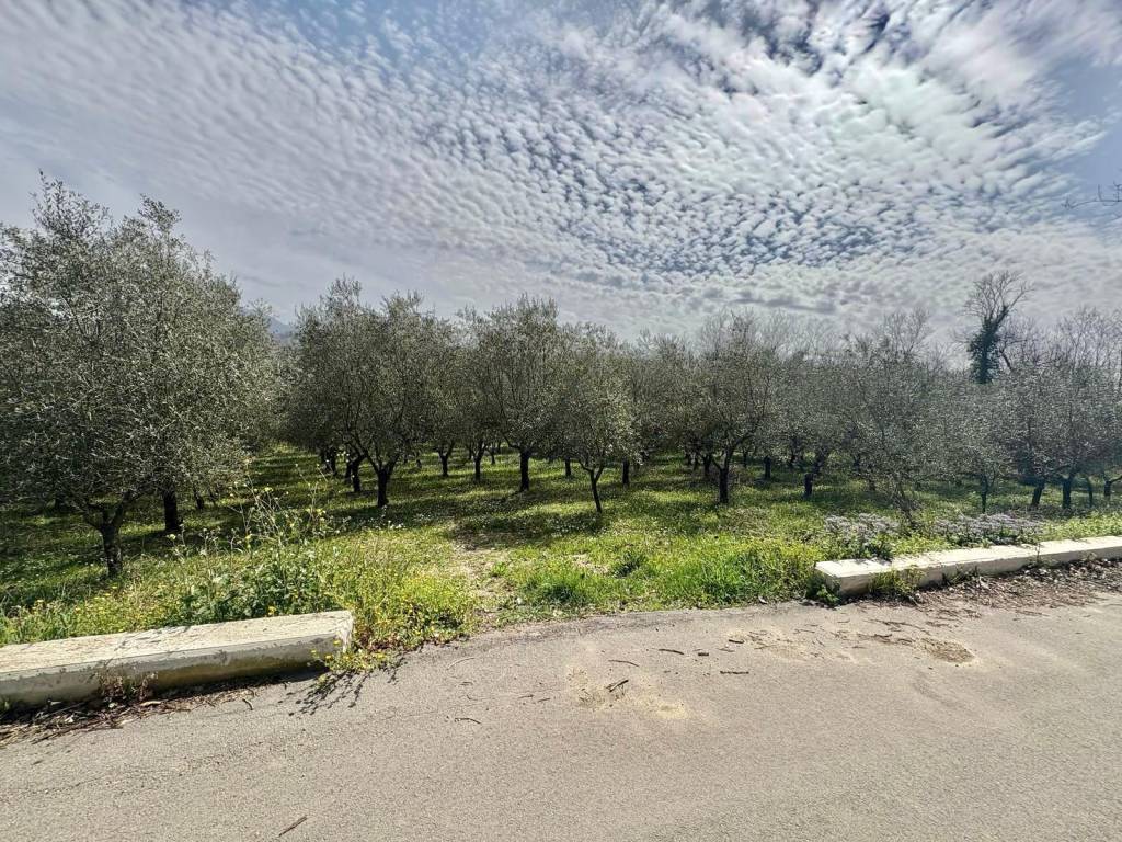 Terreno a Montefredane in Via Torre, Montefredane - Foto 2