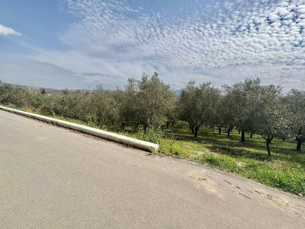 Terreno a Montefredane in Via Torre, Montefredane - Foto 3