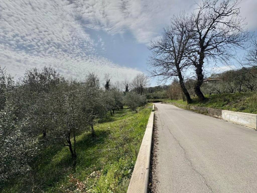 Terreno a Montefredane in Via Torre, Montefredane - Foto 4