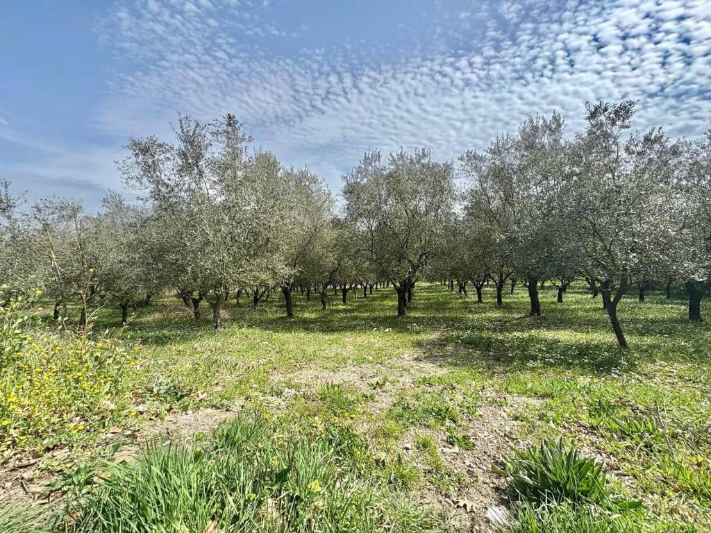 Terreno a Montefredane in Via Torre, Montefredane - Foto 5