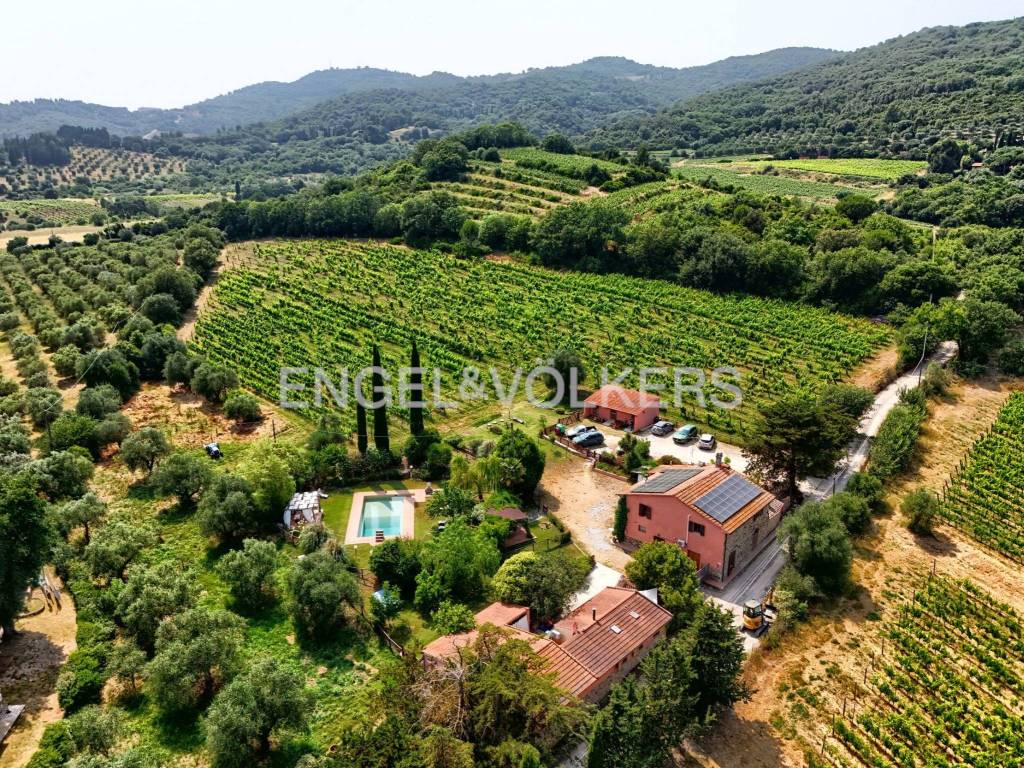 Villa a Suvereto in Località Debbione - Foto 4