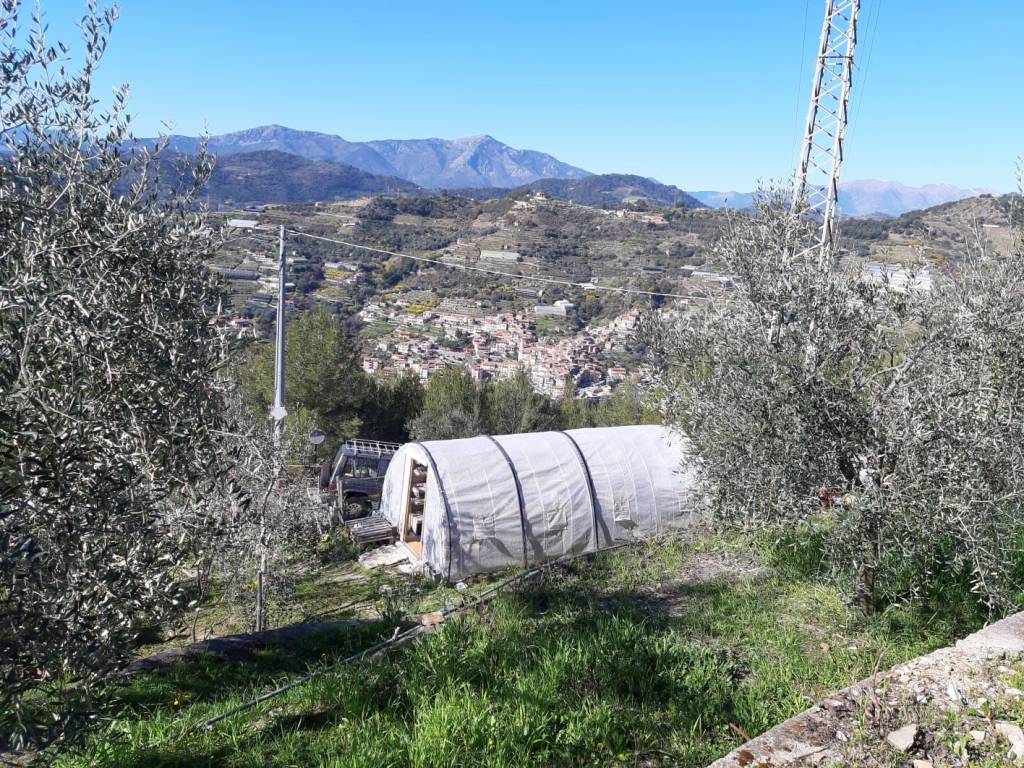 Terreno a Vallebona in vallebona - Foto 4