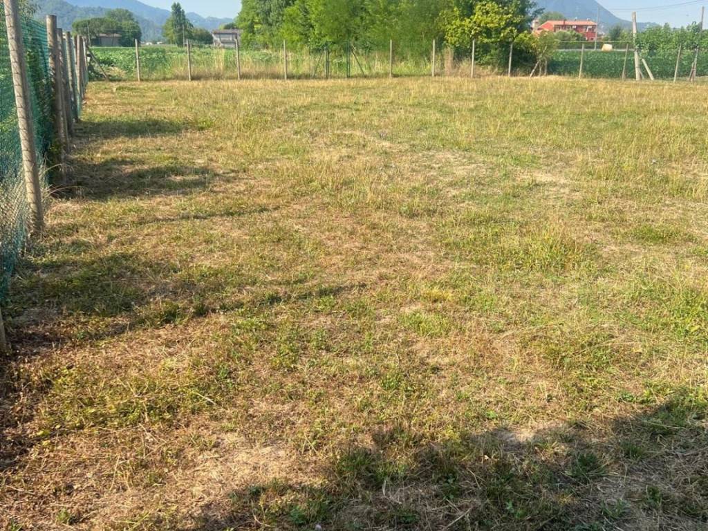 Rustico / casale a Saccolongo in Via Montecchia - Foto 4