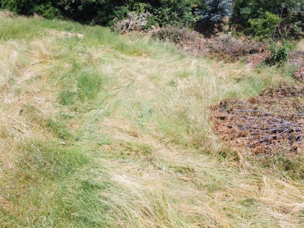 Terreno a Chignolo d'isola - Foto 4