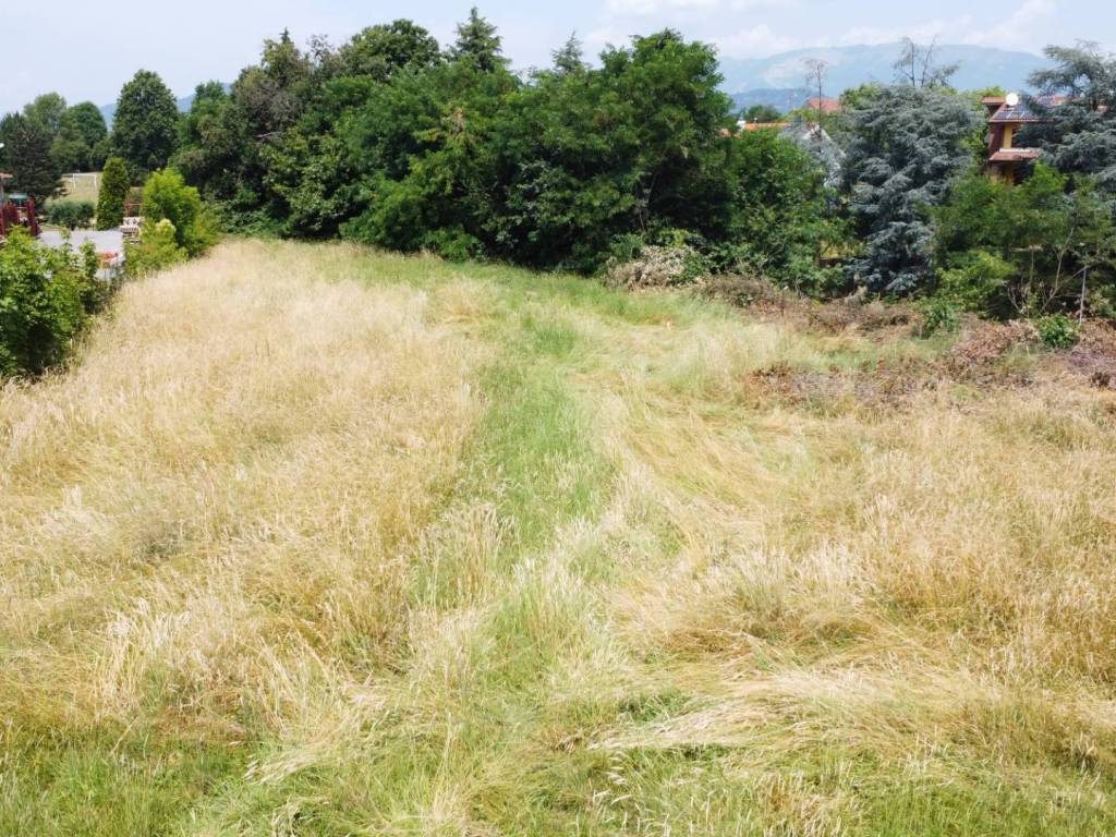 Terreno a Chignolo d'isola - Foto 5
