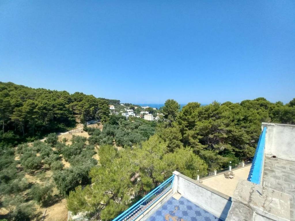 Appartamento a Vico del gargano in Via del Carbonaio - Foto 2