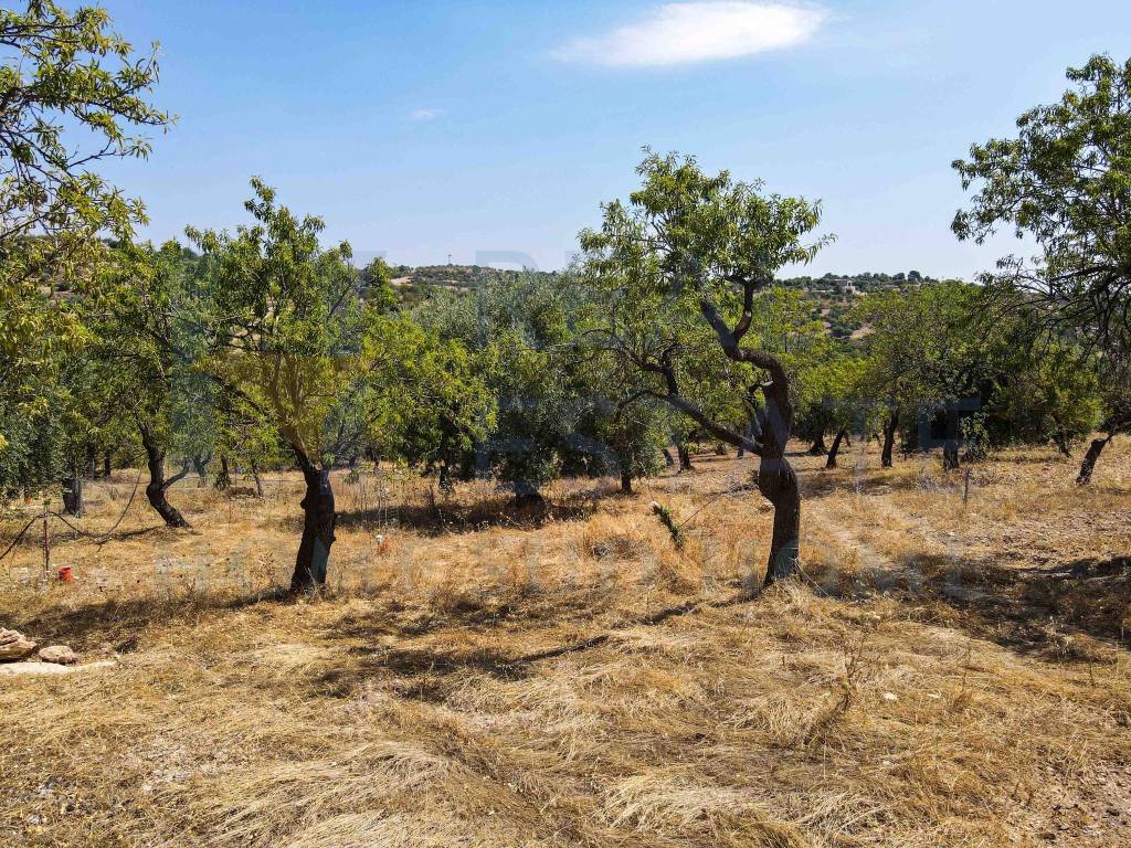Terreno a Noto in Via Tommaso Fazello, 228 - Foto 2