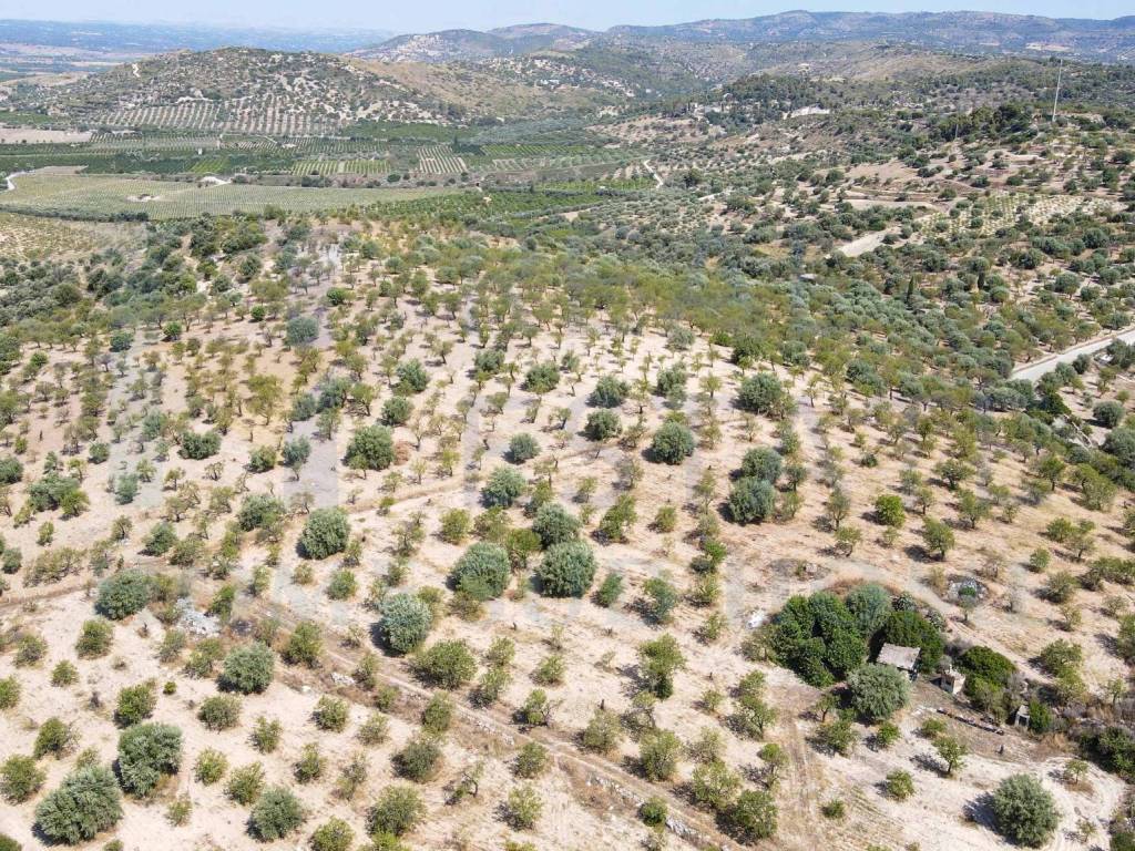 Terreno a Noto in Via Tommaso Fazello, 228 - Foto 3