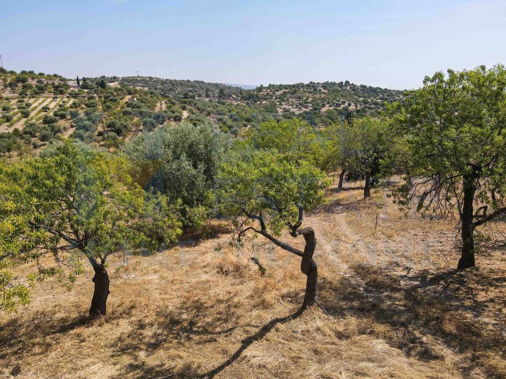 Terreno a Noto in Via Tommaso Fazello, 228 - Foto 4