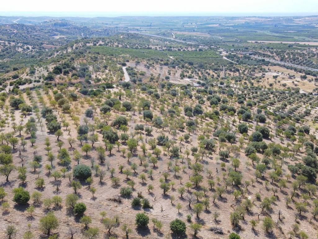 Terreno a Noto in Via Tommaso Fazello, 228 - Foto 5